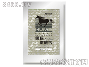 ֲЙC(j)}-ڬ΢̼}-S(lin)r(nng)I(y) 