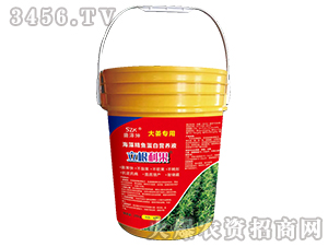 徫~נI(yng)B(yng)Һ󽪌ã--ʢ 