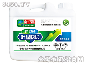 ߝsֲҺ-~GL(zhng)-Sf(wn)¡