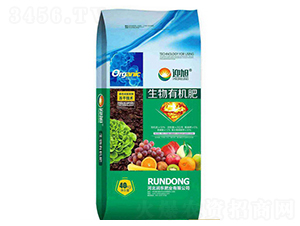 ЙC(j)-ӭ-(rn)|ʘI(y)