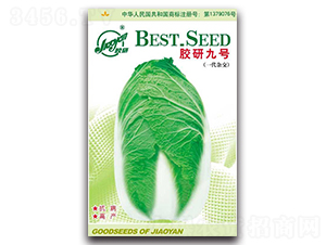 zо̖(ho)-ﲥײ˷N-z