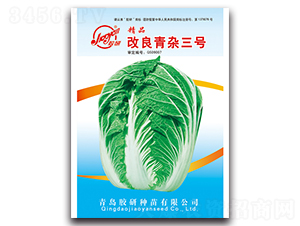 Ʒs̖(ho)-ﲥײ˷N-z