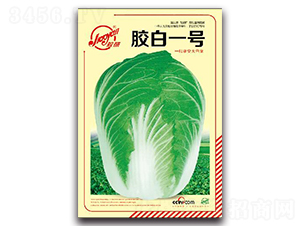 zһ̖(ho)-ﲥײ˷N-z