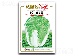 zװ̖(ho)-ﲥײ˷N-z