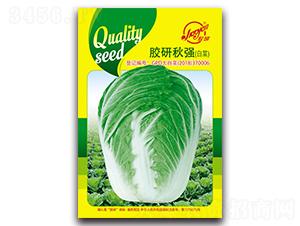 z(qing)ײ-ﲥײ˷N-z