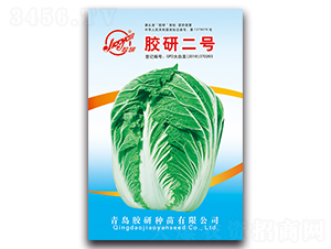 zж̖(ho)-ﲥײ˷N-z