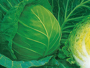 KAG-703-{N-r(nng)I(y)