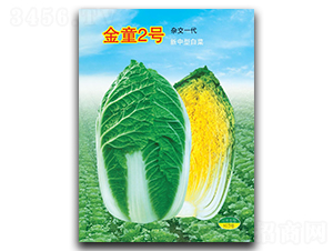 ͯ2̖(ho)-ײ˷N-A߷NI(y)