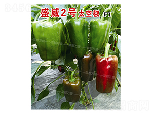 ʢ2̖(ho)̫ս-N-˶fʢ