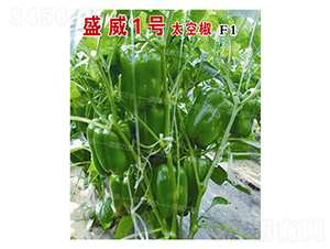 ʢ1̖(ho)̫ս-N-˶fʢ