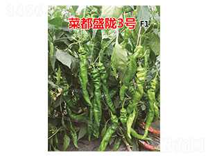 ˶ʢ]3̖(ho)-N-˶fʢ