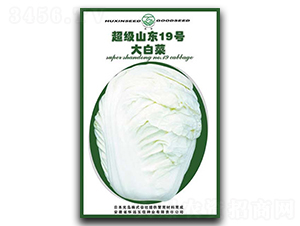 (j)ɽ|19̖(ho)-ײ˷N-|r(nng)I(y)