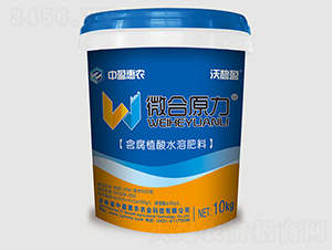 ΢ԭ_ʩ-ֱӯ-ӯr(nng)