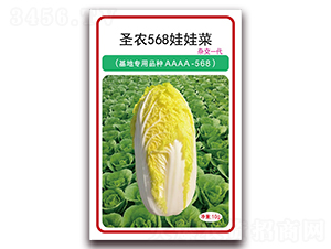 ʥr(nng)568޲-޲˷N-ʥr(nng)߿