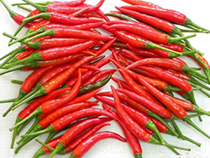 ʥr(nng)tʯ06콷-콷N-ʥr(nng)߿