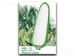 Ŵһ̖(ho)-Ŵ׷N-(zhn)зNI(y)