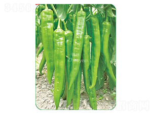 (zhn)̖-⽷N-(zhn)зNI(y)