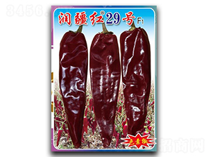 t29̖-N-(zhn)зNI(y)