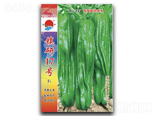 (zhn)17̖-ݽN-(zhn)зNI(y)