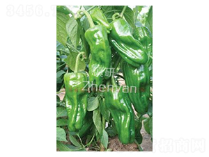 K̖-ݽN-(zhn)зNI(y)