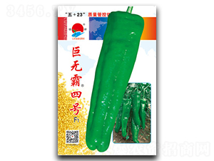 ޟo̖-ݽN-(zhn)зNI(y)