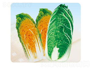 ٶ̖(ho)-ײ˷N-ȃ(yu)_(d)