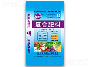 ι(zhun)Ï(f)Ϸ-طʘI(y)