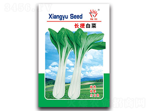 L(zhng)ײ-ײ˷N-ܷNI(y)