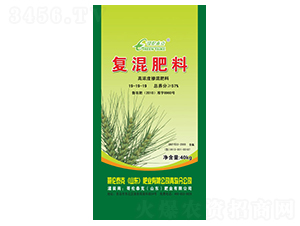 ߝȏͻ19-19-19-炐̩