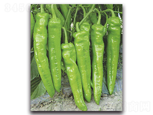 1̖-N-r(nng)r(nng)I(y)