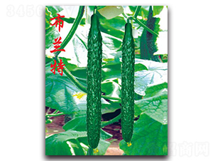 m-SϷN-r(nng)r(nng)I(y)