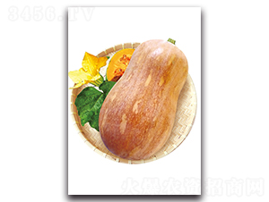 ̖(ho)-ϹϷN-r(nng)I(y)