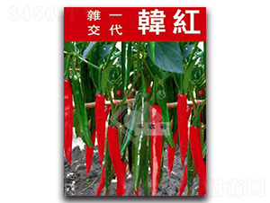 nt404-t⽷N-Sԣr(nng)I(y)