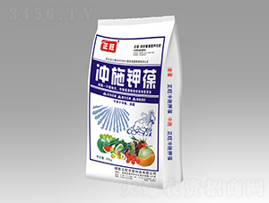 20kg_ʩ17-4-16-r(nng)