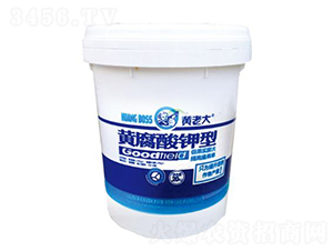 S͛_ʩ-Sϴ-ƺ(lin)