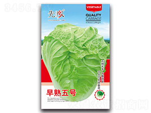 5̖(ho)-ײ˷N-L(fng)