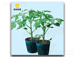 2̖(ho)-ľN-r(nng)N