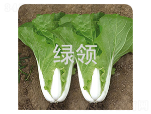 v1258-Сײ˷N-GI(lng)NI(y)