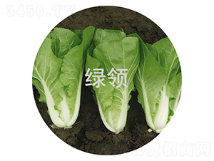 v5̖-Сײ˷N-GI(lng)NI(y)