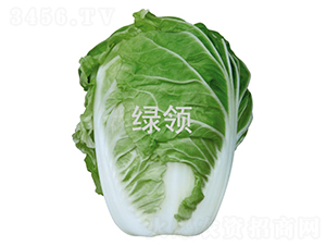 GI(lng)50-ײ˷N-GI(lng)NI(y)