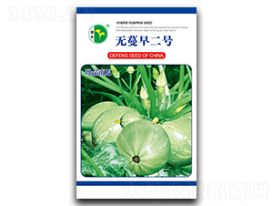 o̖(ho)-ϹϷN-SNI(y)