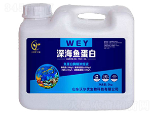 ~(y)ף5kg-ɽ|֠(yu)