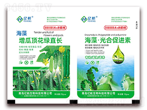 픻GֱL+塤ϴM(jn)-|