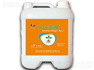 _ʩ 20+20+20+-ħ-˹Z