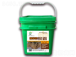 10L-S-(jin)Sr(nng)I(y)