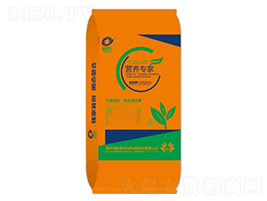 ЙC(j)-I(yng)B(yng)-\(yn)(li)