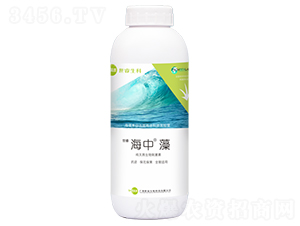 海藻有機(jī)水溶肥料-海中-世睿生物