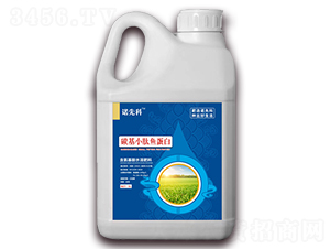 ̼С~(y)-Zȿ-r(nng)Z