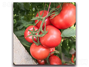 ?tng)?072-ѷN-?tng)r(nng)I(y)