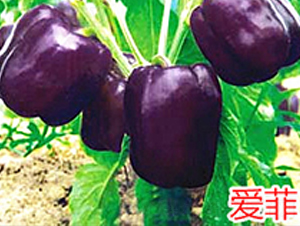 (i)-N-f(wn)r(nng)I(y)